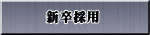 新卒採用